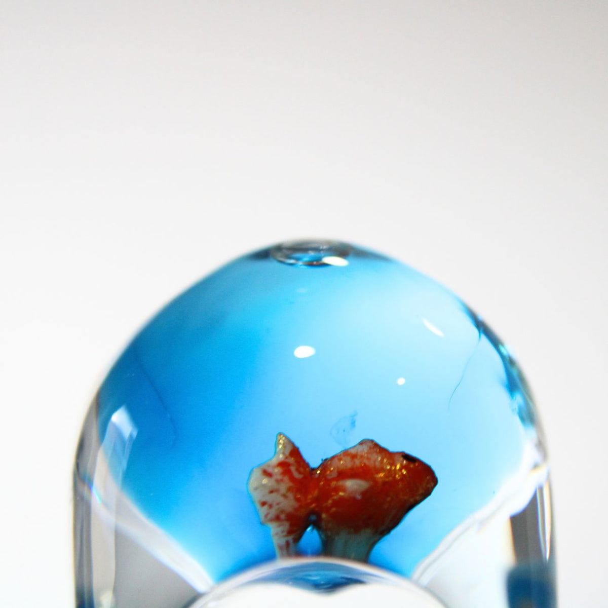 Fish Bowl Ring